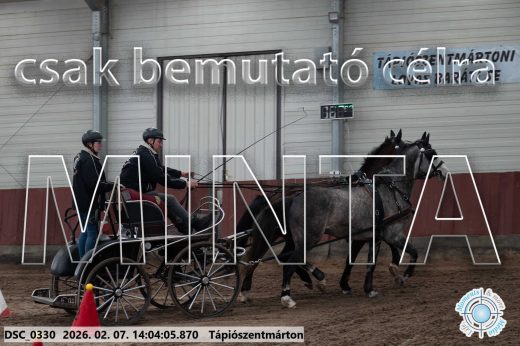 Mintakép 20260207-593