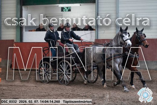 Mintakép 20260207-595