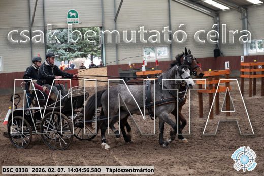 Mintakép 20260207-599