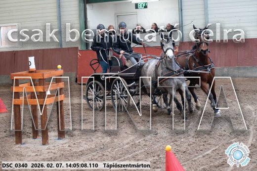 Mintakép 20260207-601