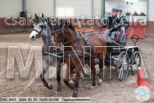 Mintakép 20260207-602