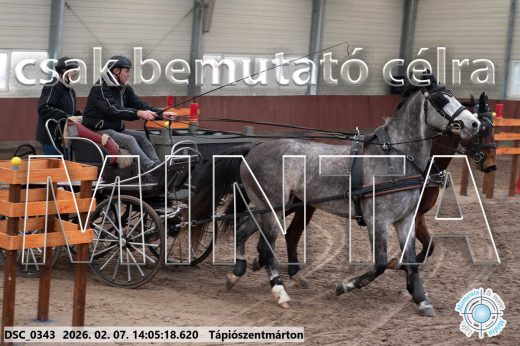 Mintakép 20260207-604