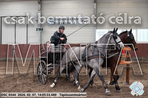 Mintakép 20260207-605