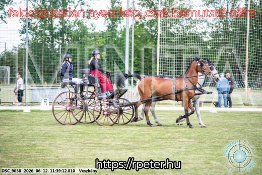 Mintakép 20260612-299