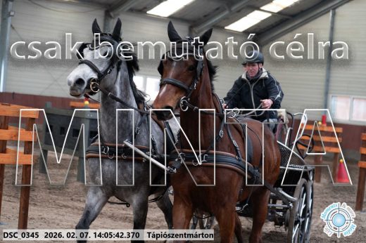 Mintakép 20260207-606