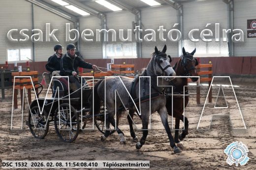 Mintakép 20260208-975