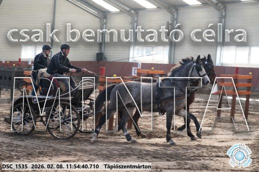Mintakép 20260208-978