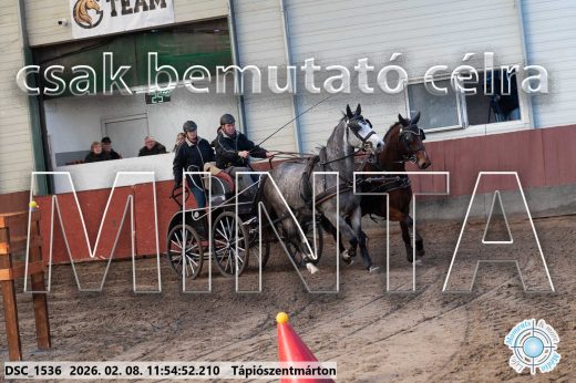 Mintakép 20260208-979