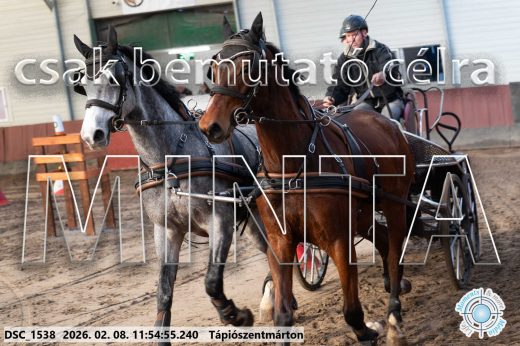 Mintakép 20260208-981