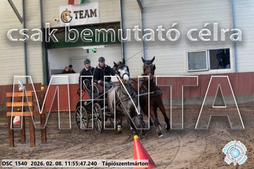 Mintakép 20260208-983