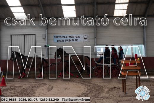 Mintakép 20260207-611