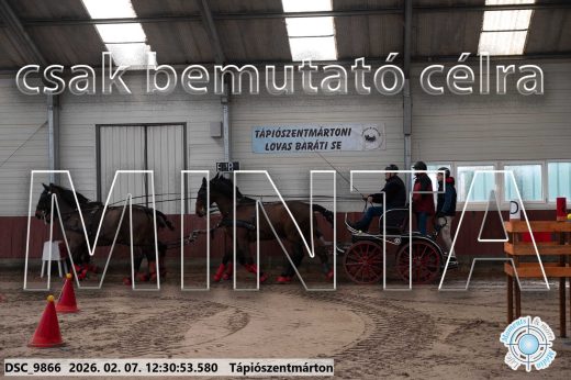 Mintakép 20260207-612