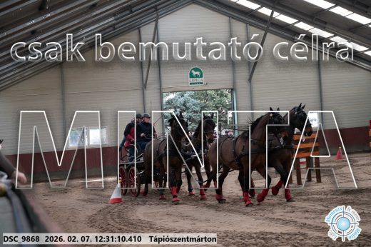 Mintakép 20260207-614