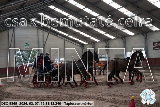 Mintakép 20260207-615