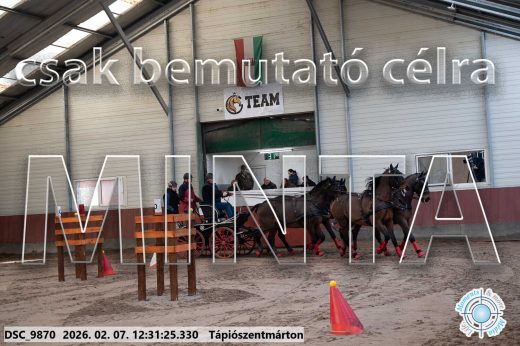 Mintakép 20260207-616