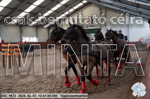 Mintakép 20260207-618