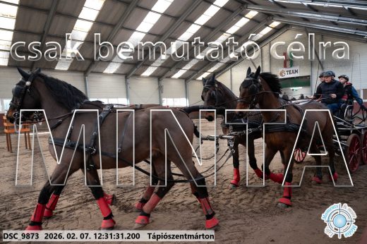 Mintakép 20260207-619