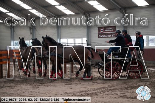 Mintakép 20260207-622