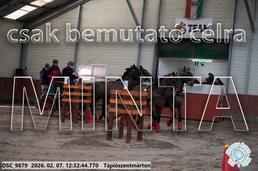 Mintakép 20260207-625