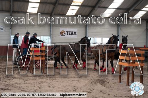 Mintakép 20260207-629
