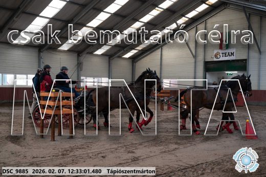 Mintakép 20260207-630