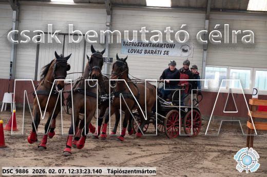 Mintakép 20260207-631