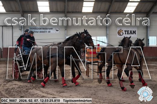 Mintakép 20260207-632