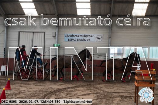 Mintakép 20260207-637
