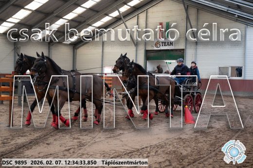 Mintakép 20260207-639