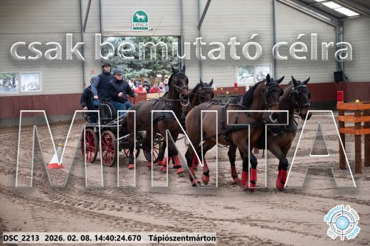 Mintakép 20260208-989