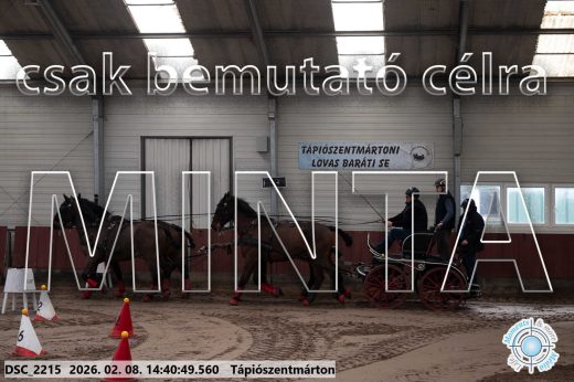 Mintakép 20260208-991