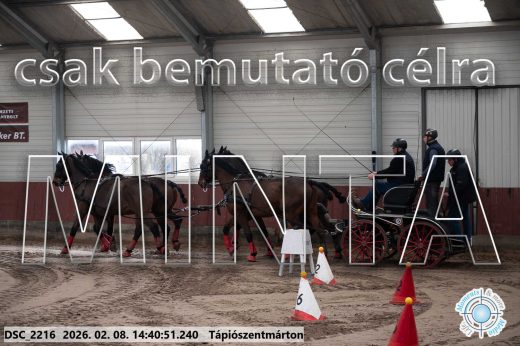 Mintakép 20260208-992