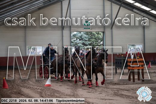 Mintakép 20260208-994
