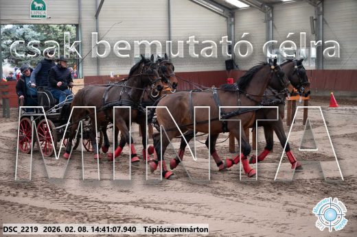 Mintakép 20260208-995