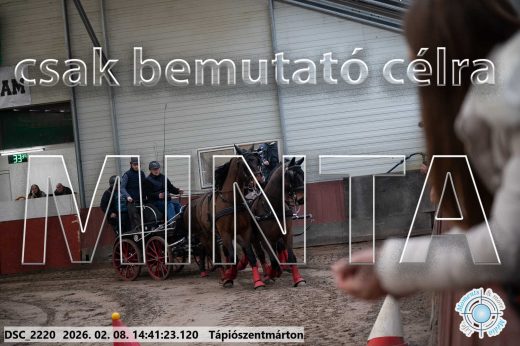 Mintakép 20260208-996