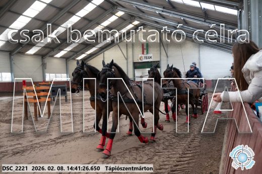 Mintakép 20260208-997