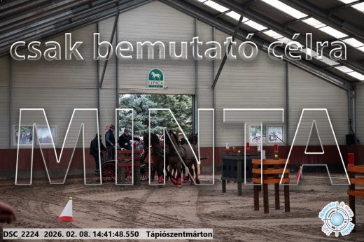 Mintakép 20260208-999