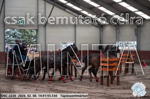 Mintakép 20260208-1001