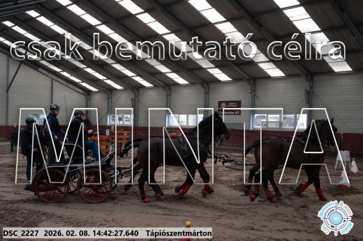Mintakép 20260208-1002