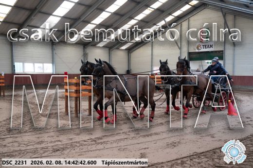 Mintakép 20260208-1006