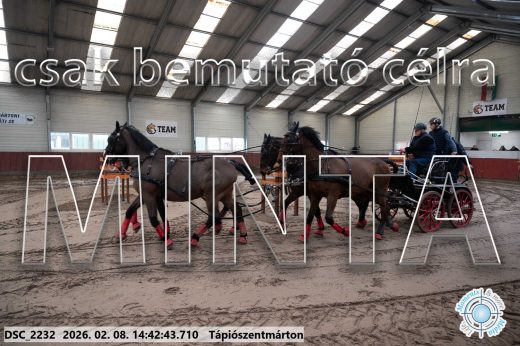 Mintakép 20260208-1007