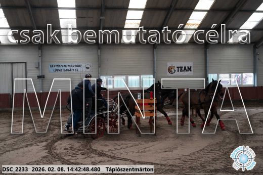 Mintakép 20260208-1008