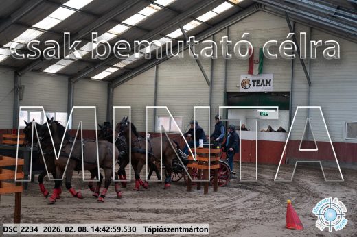 Mintakép 20260208-1009