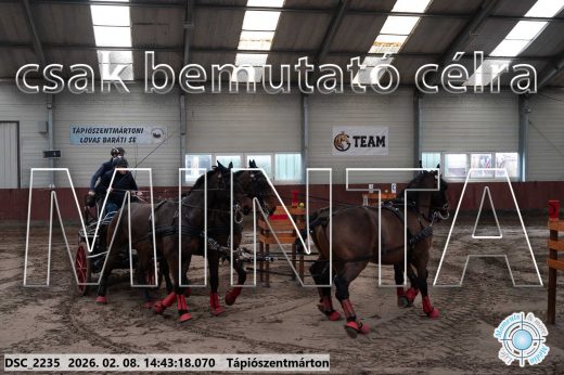 Mintakép 20260208-1010