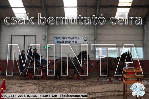 Mintakép 20260208-1016