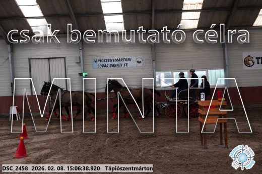 Mintakép 20260208-1017