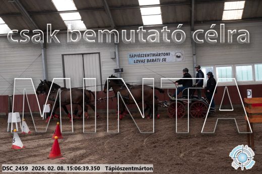 Mintakép 20260208-1018