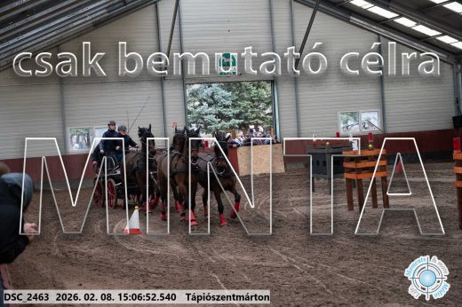 Mintakép 20260208-1022
