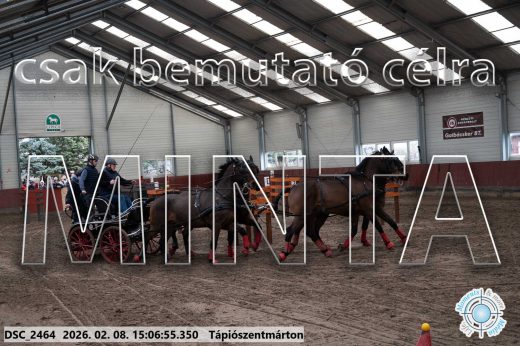 Mintakép 20260208-1023