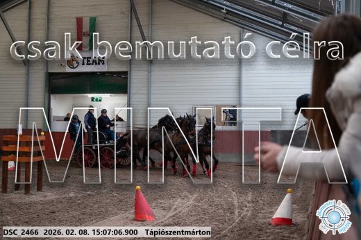 Mintakép 20260208-1025